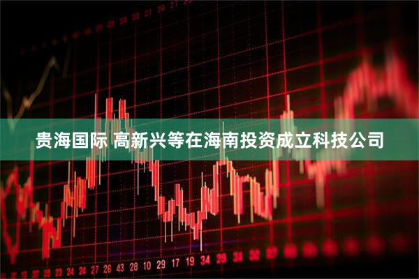 贵海国际 高新兴等在海南投资成立科技公司