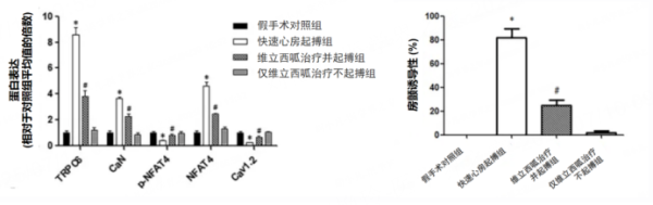 大发配资 王祖禄教授&梁延春教授：维立西呱助力心衰合并房颤共病管理，简化滴定让患者更快获益