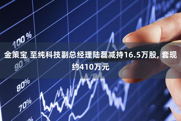 金策宝 至纯科技副总经理陆磊减持16.5万股, 套现约410万元