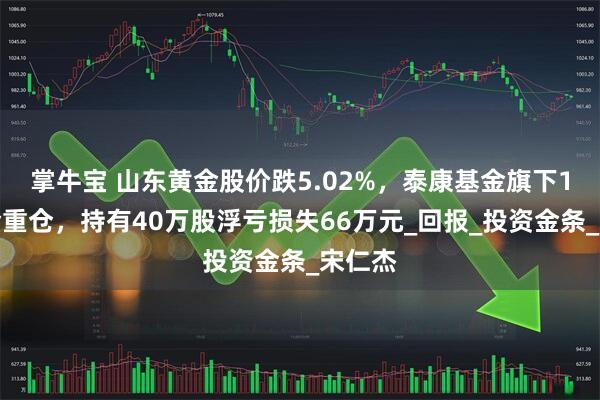 掌牛宝 山东黄金股价跌5.02%，泰康基金旗下1只基金重仓，持有40万股浮亏损失66万元_回报_投资金条_宋仁杰
