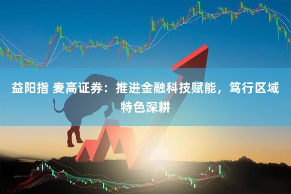益阳指 麦高证券：推进金融科技赋能，笃行区域特色深耕